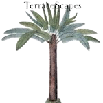 TerraceScapes